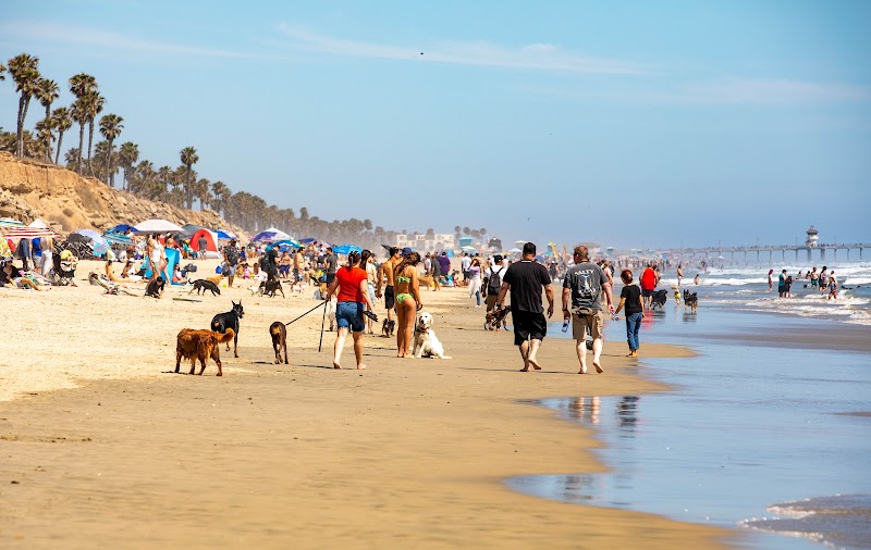 Huntingon Dog Beach in Huntington Beach