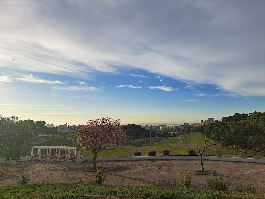 Bela Vista Park (Garden) fotoğraf 1