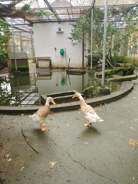 South Park Aviary