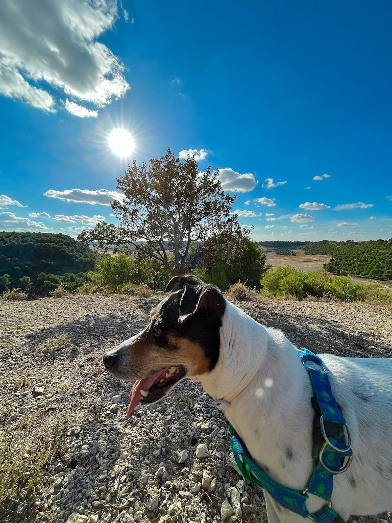 Clínica Veterinaria Tirso de Molina