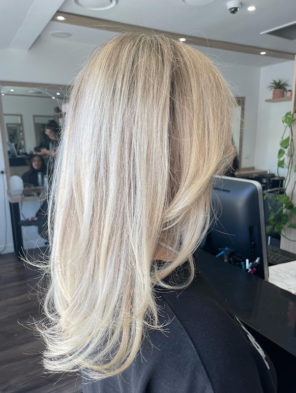 Indigo Cut and Colour photo 1