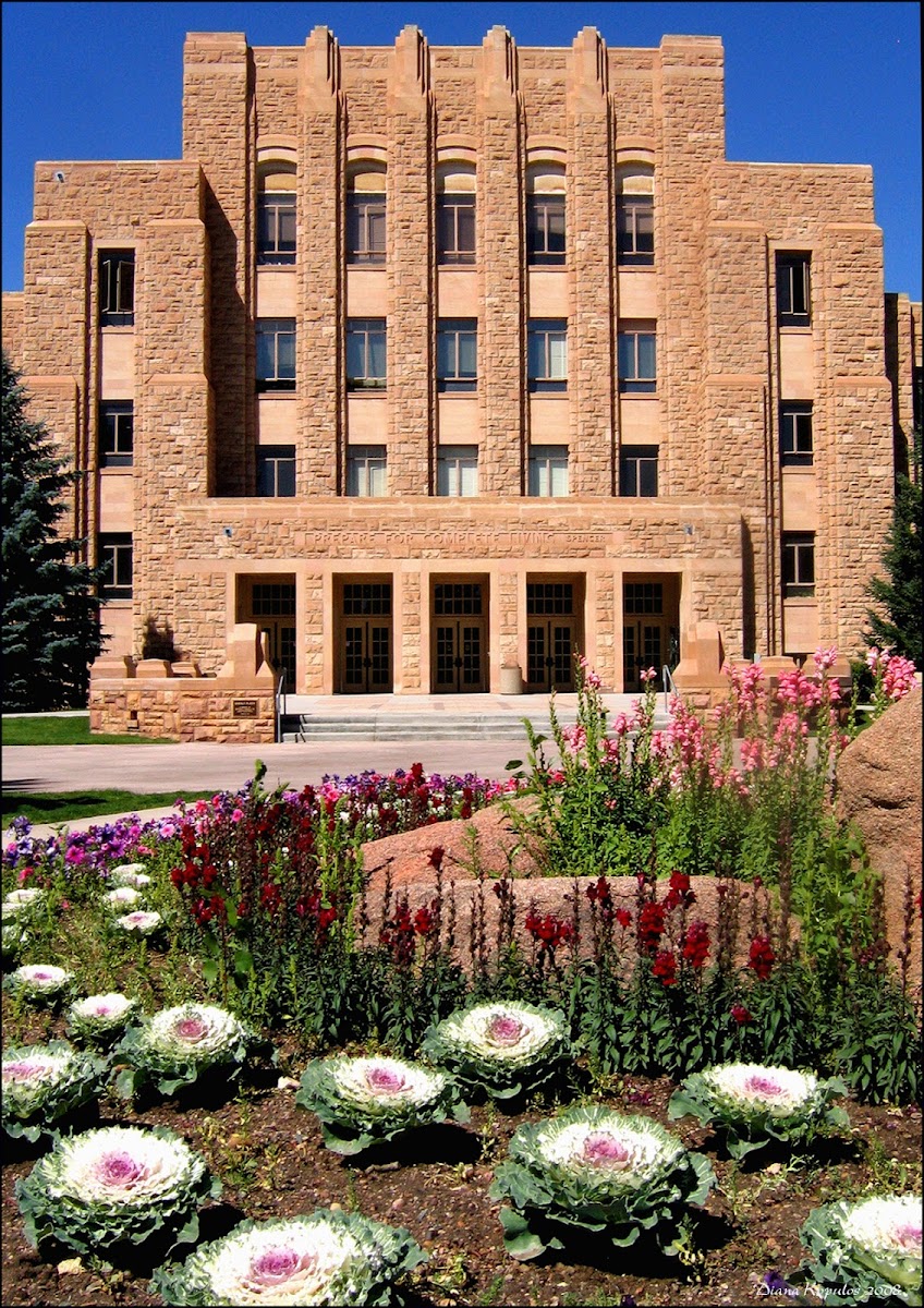ワイオミング大学（University of Wyoming）（Laramie、ワイオミング州）