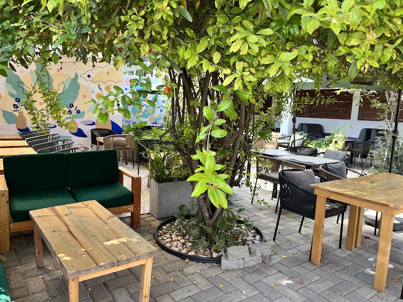 Primor Café photo 1