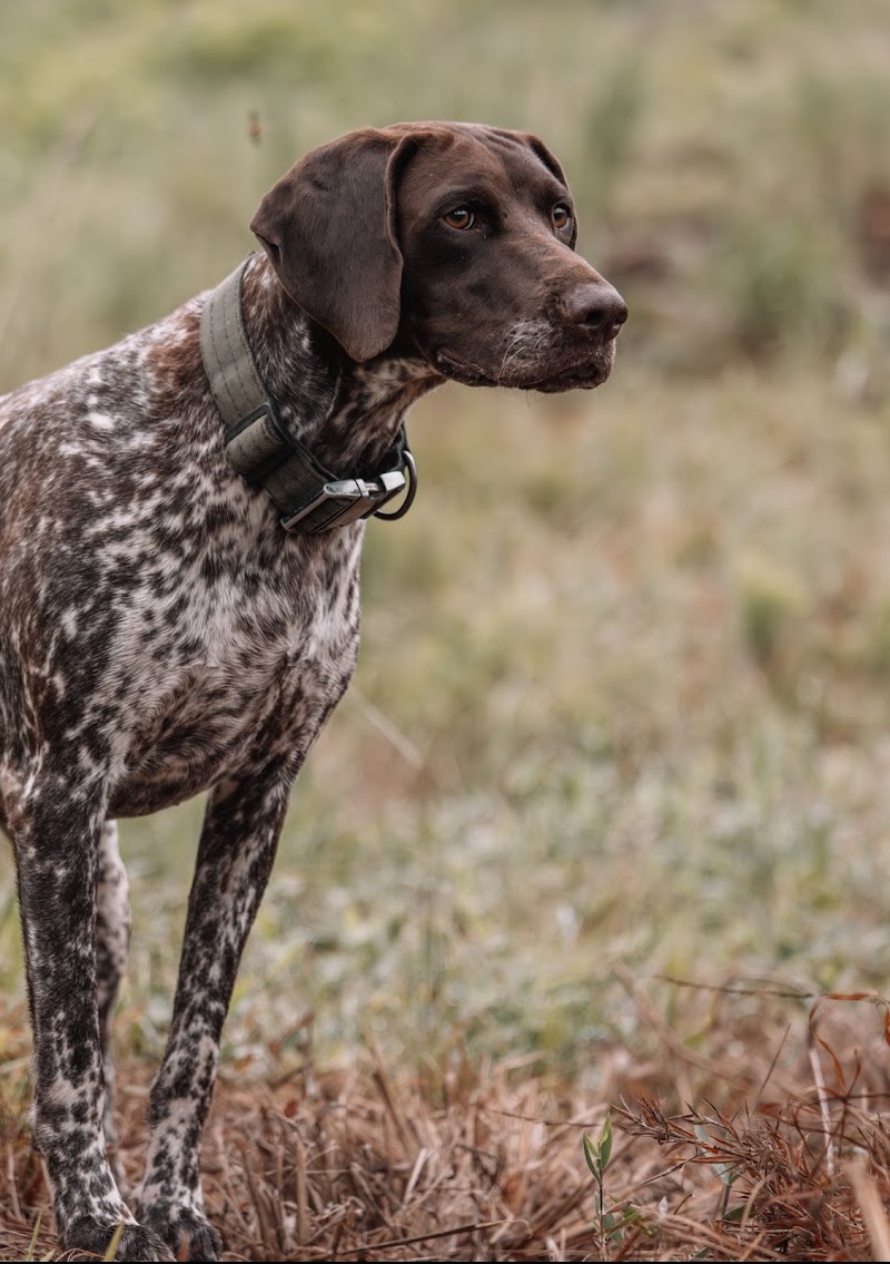 Mississippi Upland - Photo 4