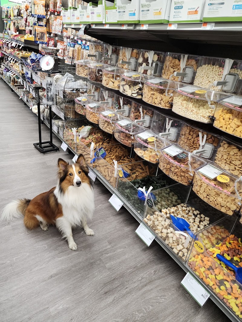 Pet Supplies Plus Surf City