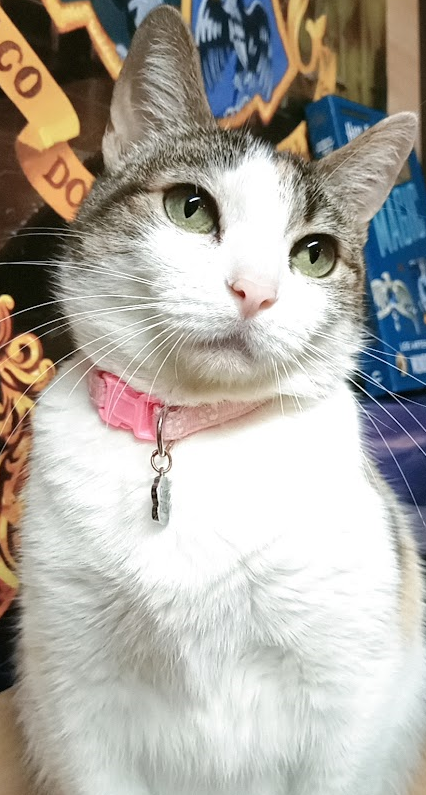 Centro Veterinario Travesía