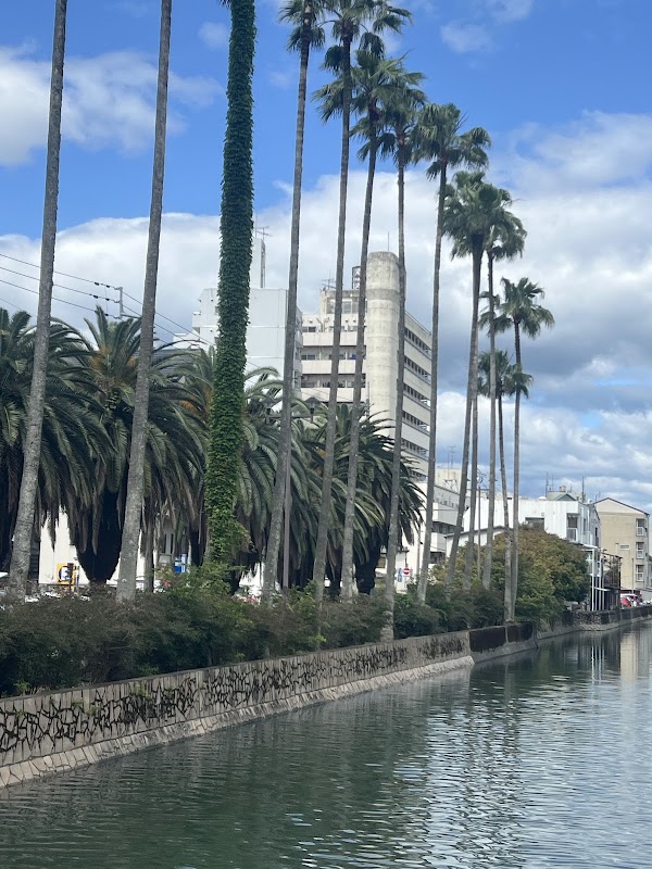 Hotel Town Center