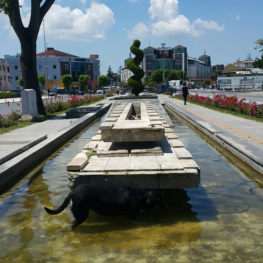 Düzce gece hayatı