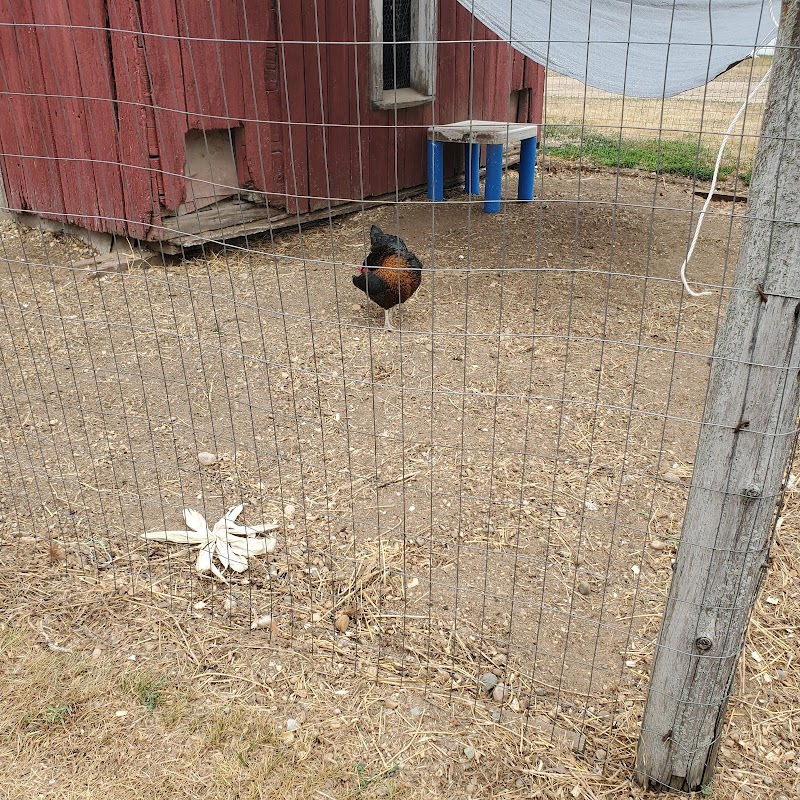 HopeWell Ranch - Photo 4