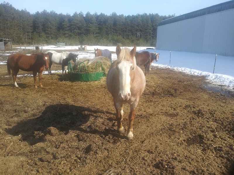 HopeWell Ranch - Photo 6