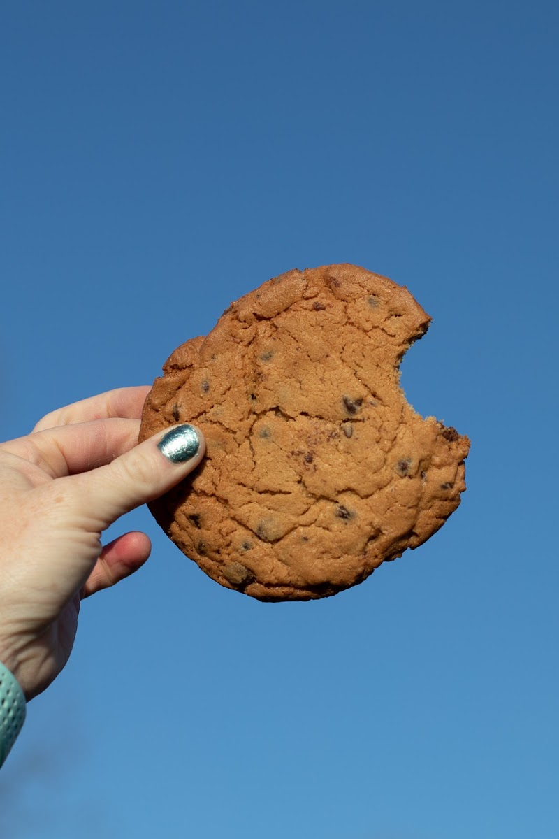 The Coffee Potter photo 3