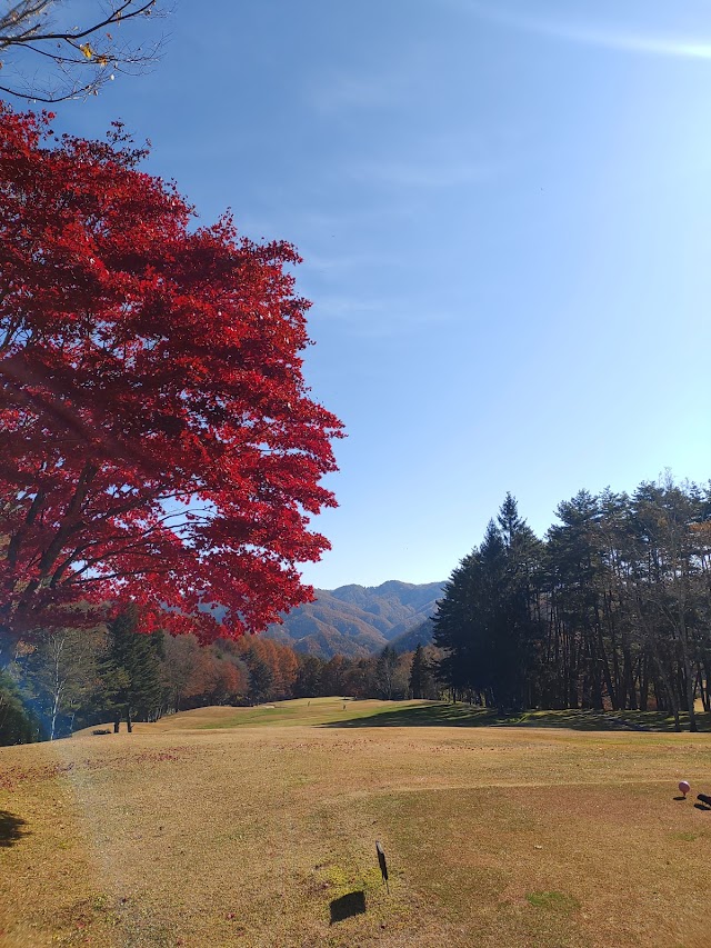 Araragi Country Club - Photo 7