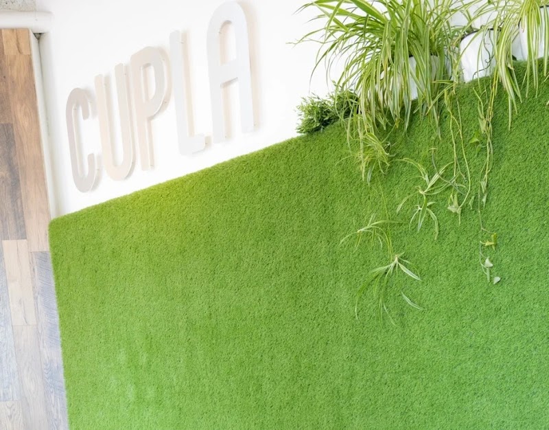 Cupla Coffee photo 4