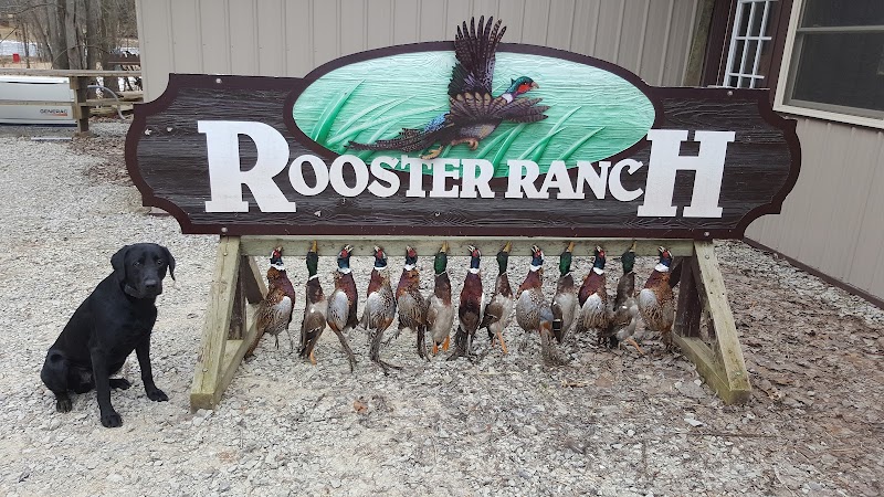Rooster Ranch LLC - Photo 1