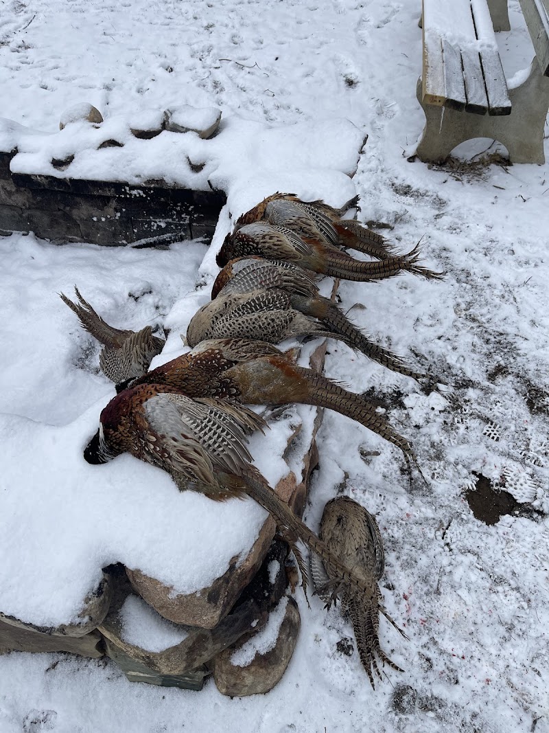 Rooster Ranch LLC - Photo 6