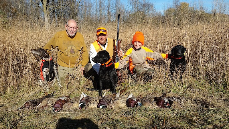 Rooster Ranch LLC - Photo 2