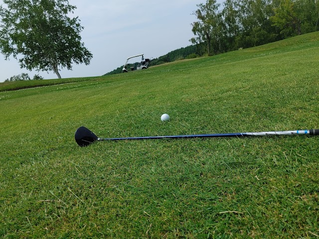 Evergreen Golf Club - Photo 10