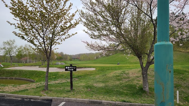 Evergreen Golf Club - Photo 8