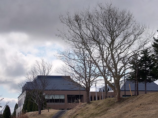 Shinchitose Country Club - Photo 10