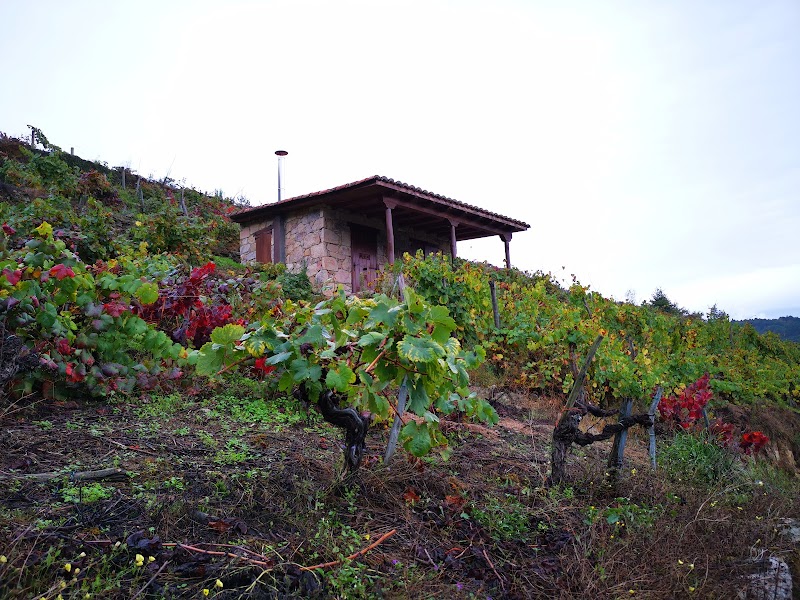 ADEGA MALCAVADA photo 5