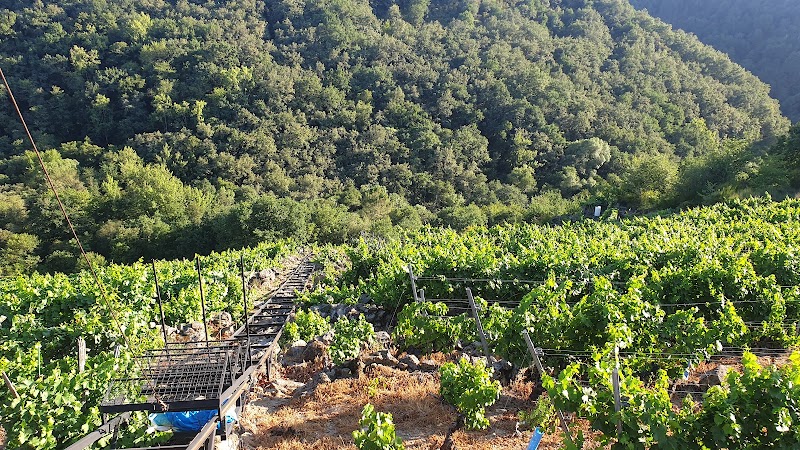 ADEGA MALCAVADA photo 3