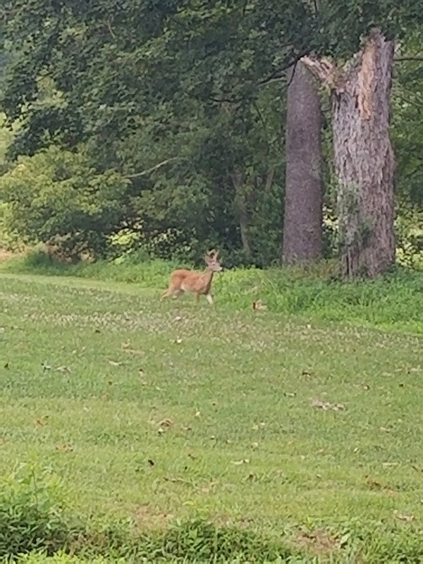 Photo by Logan Ratliff