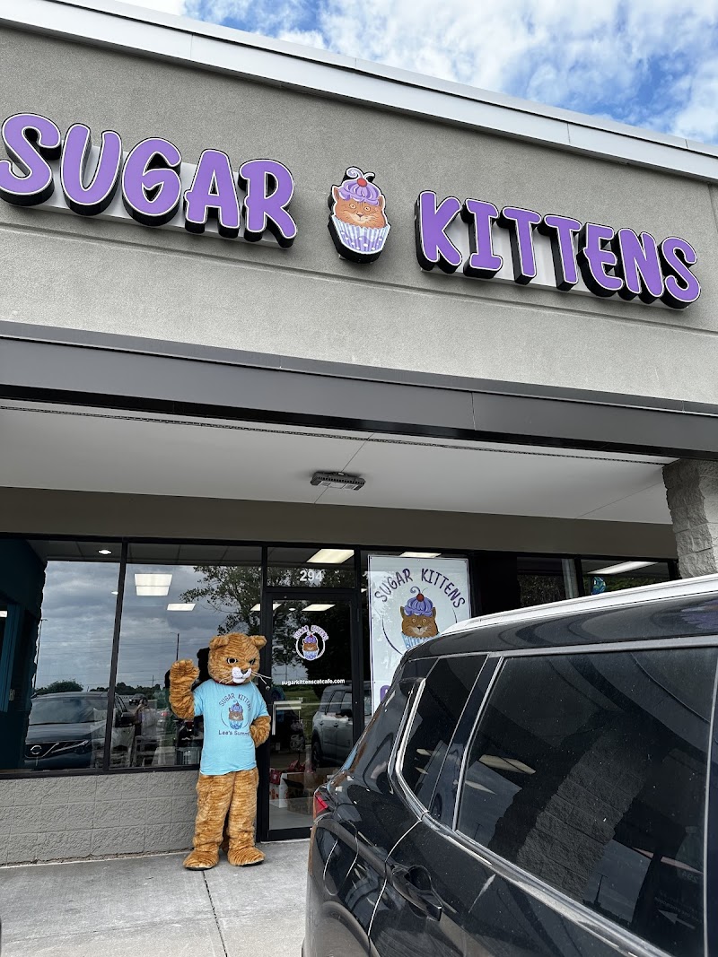 Sugar Kittens Lees Summit
