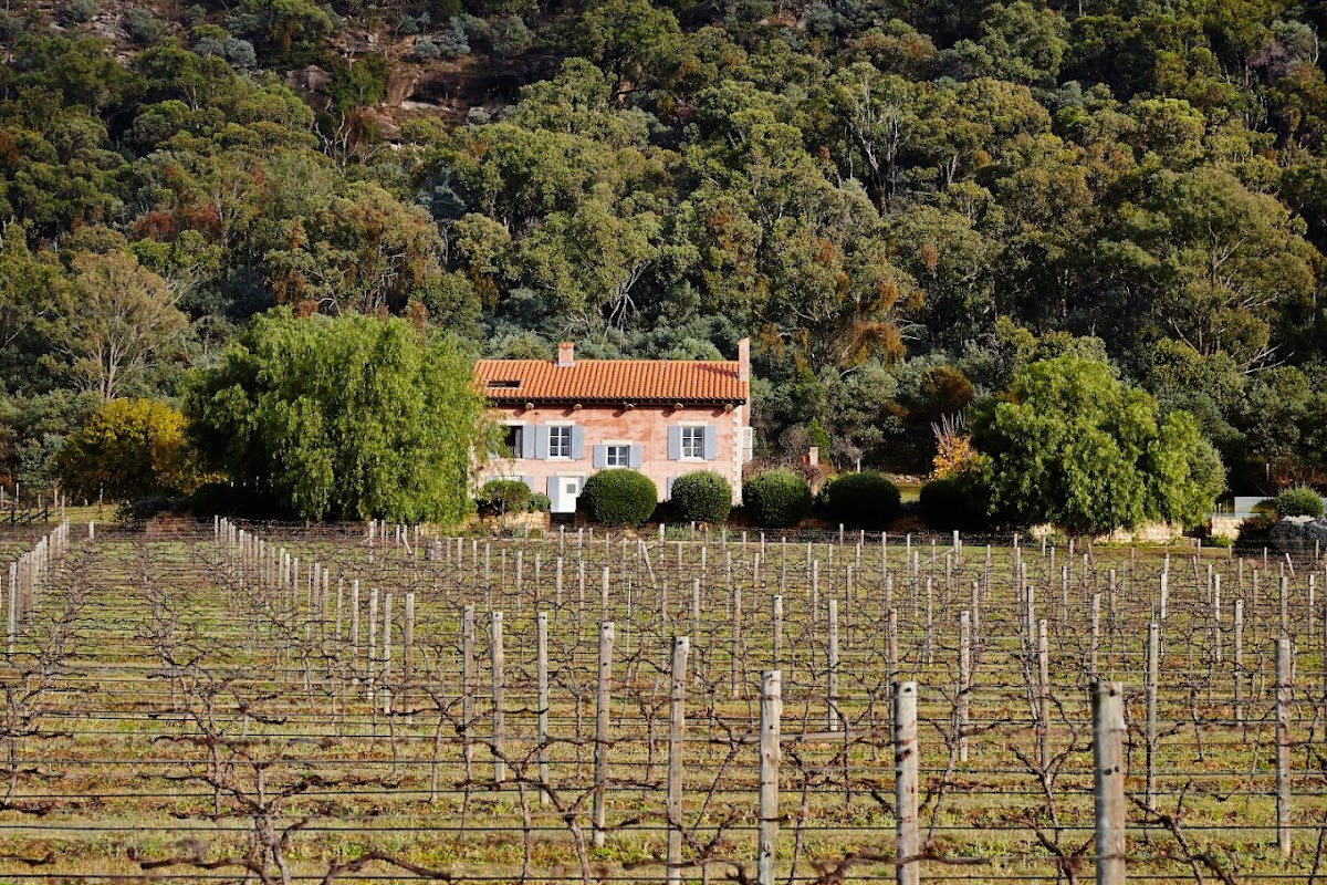 Talits Estate Vineyard