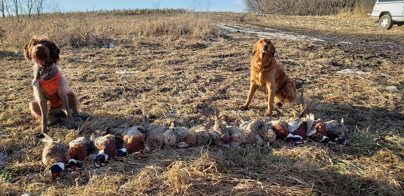 Oak Hill Hunting Preserve - Photo 2
