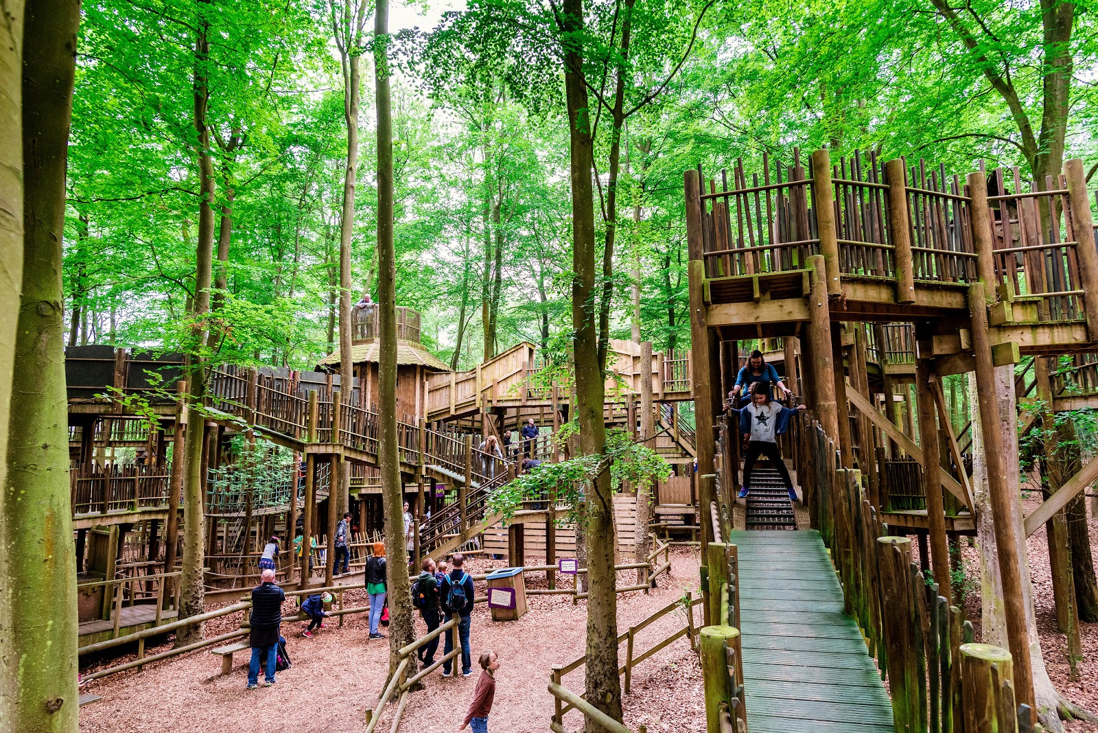 Norfolk With Kids: The Best Family Days Out Across the County