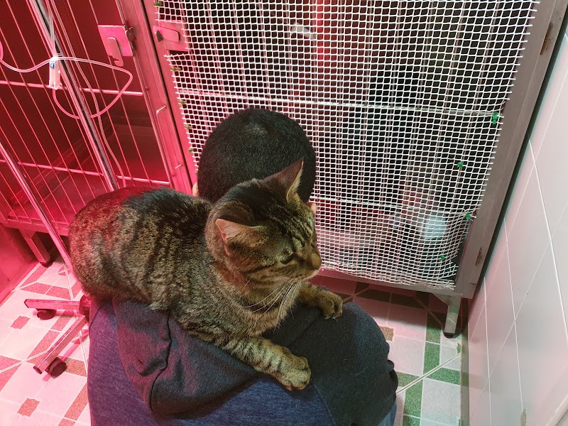 Clínica Veterinaria Felycan