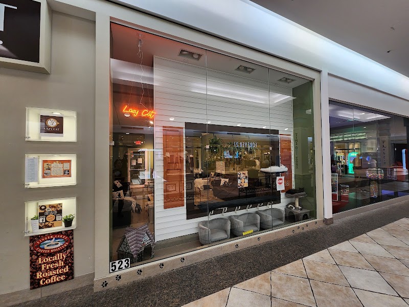 Purrs and Paws Cat Cafe