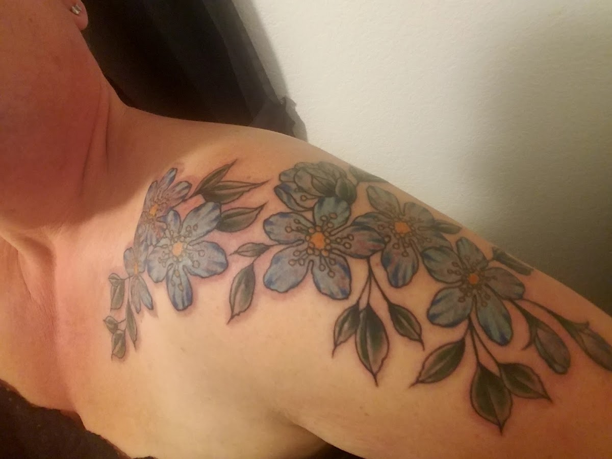 Studio 767 — tattoo studio near Chula Vista