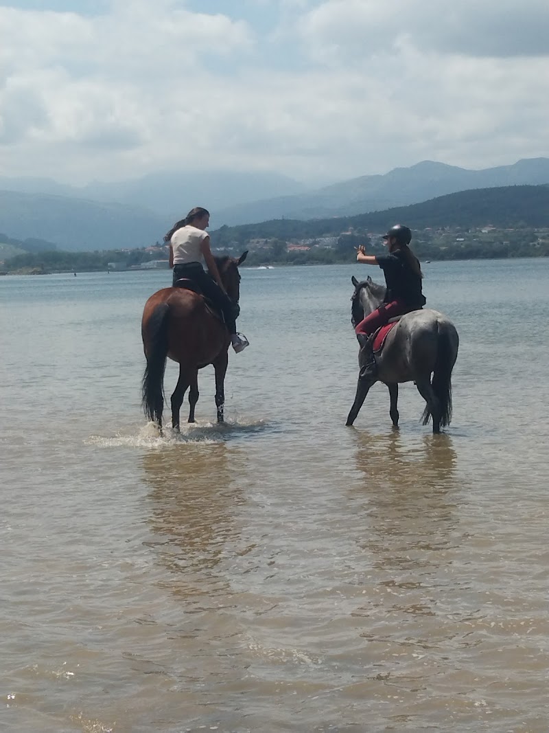 Escuela Hípica Ghp