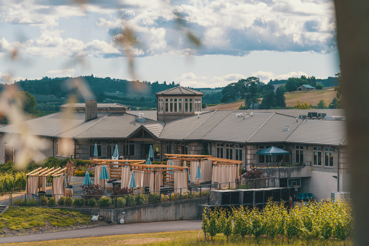 Adelsheim Vineyard