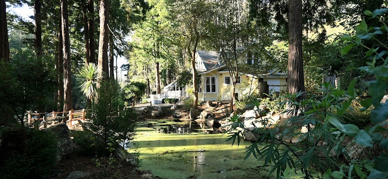 Forest-like grounds within the city