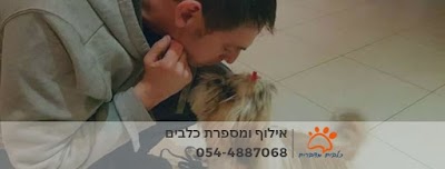 כלבים מדברים, ערן ויצפלד אילוף וספרות כלבים