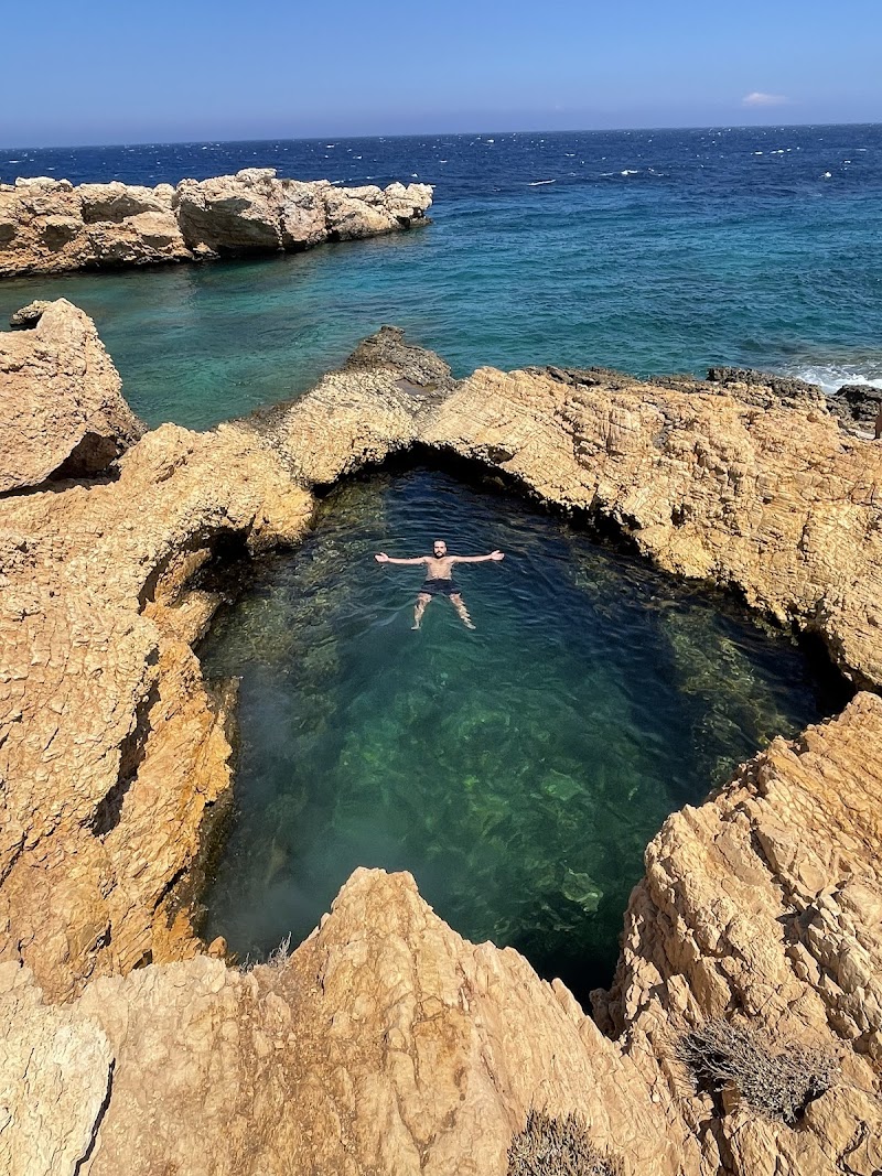 Natural Pool