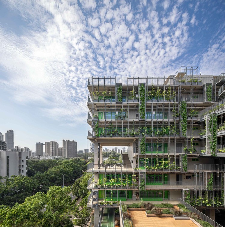 Shenzhen College of International Education