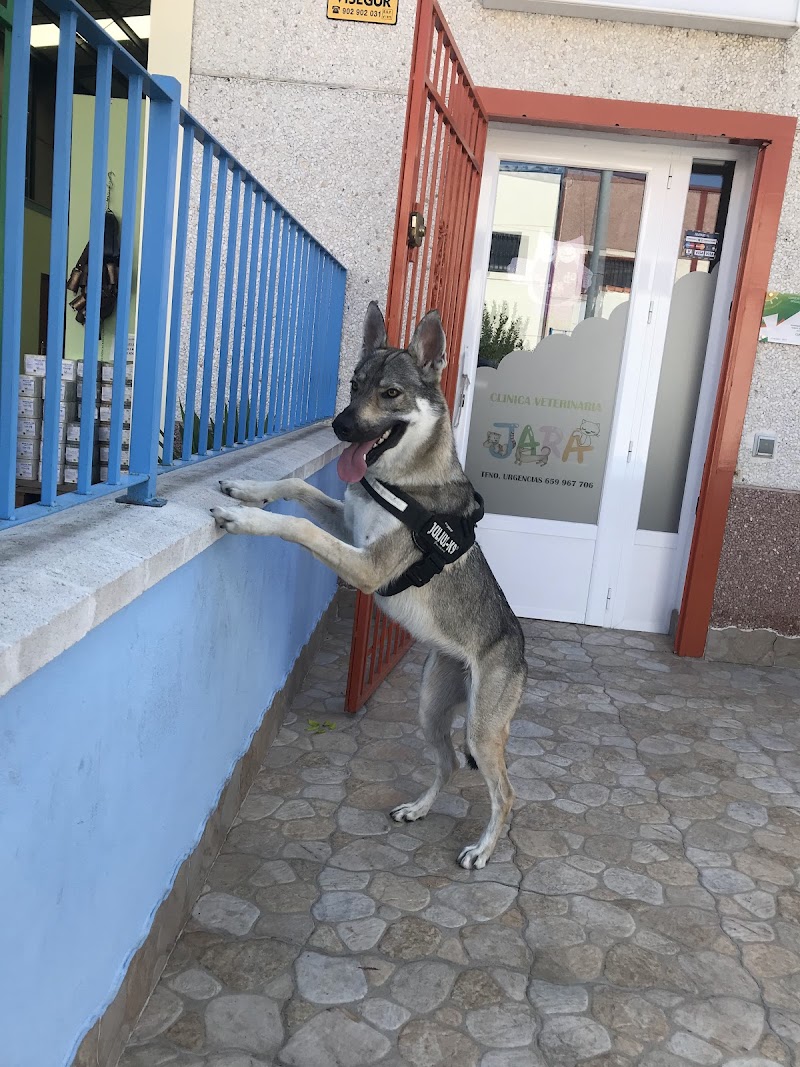 Clinica Veterinaria Jara