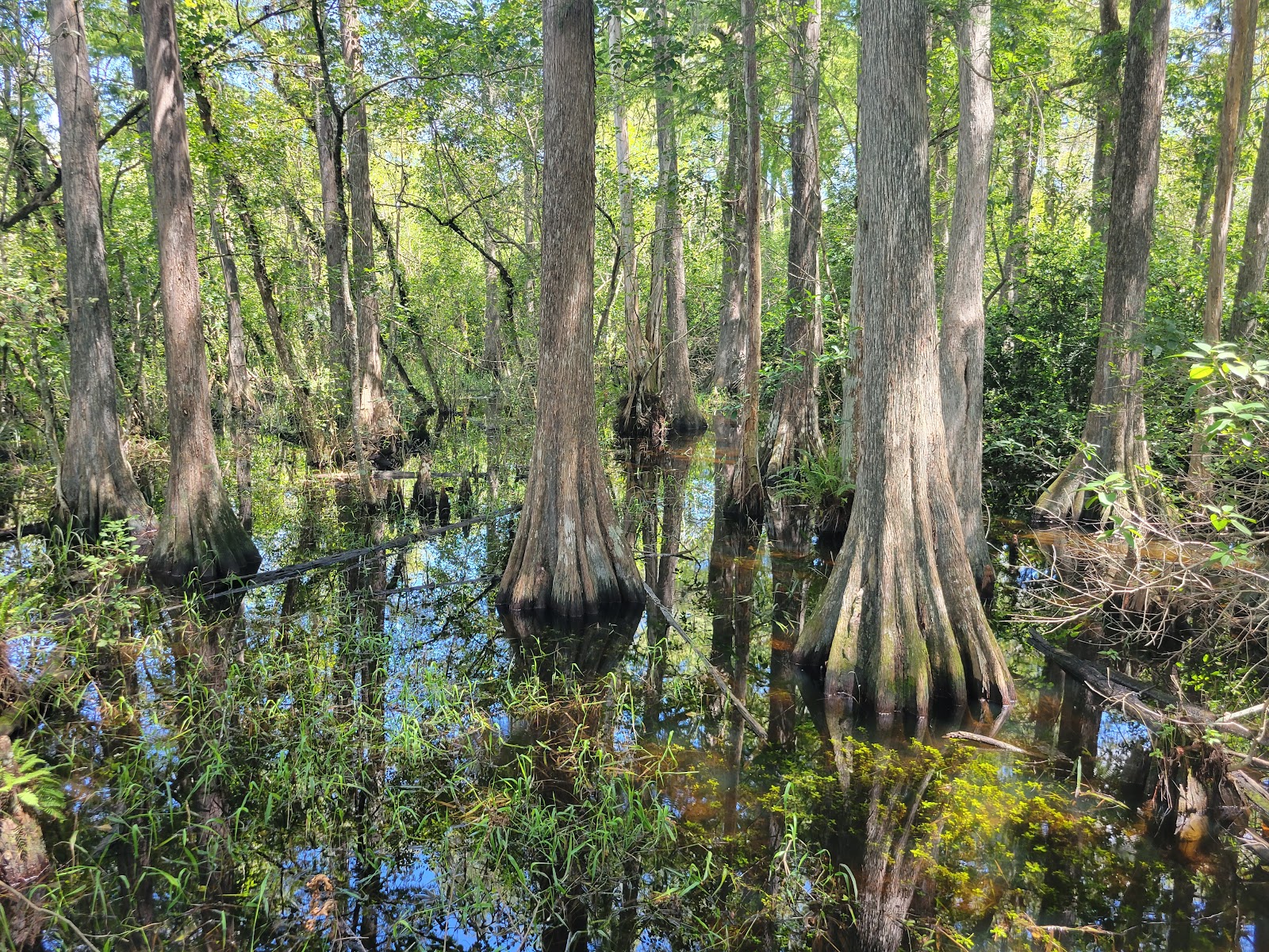 Big Cypress National Preserve
