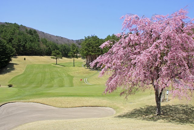 Shikishima Country Club - Photo 8