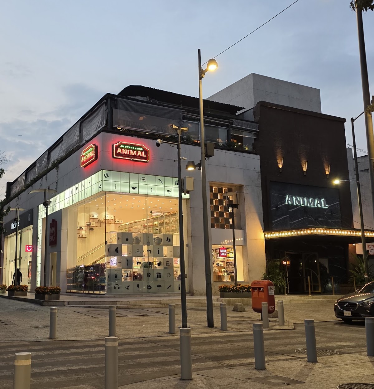 Animal Masaryk in mexico-city