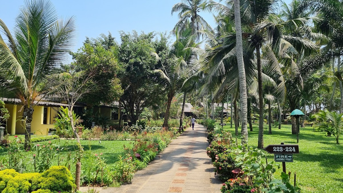 Sitaram Beach Retreat - Ayurvedic Retreat in Kerala — 3