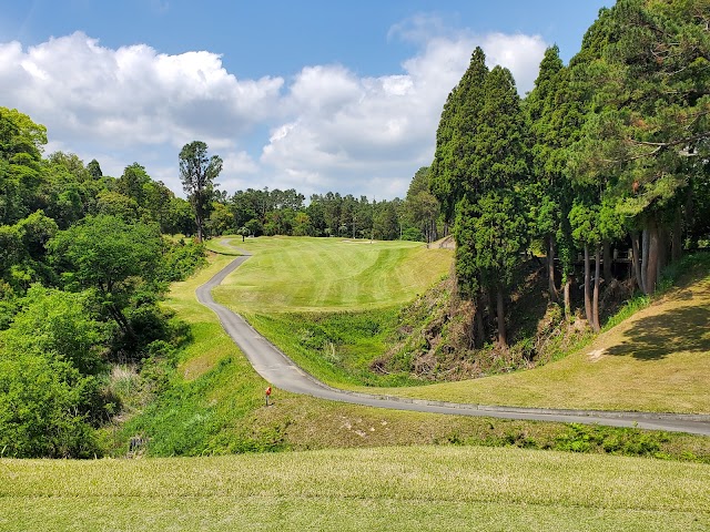 Miyazaki International Golf Club - Photo 10