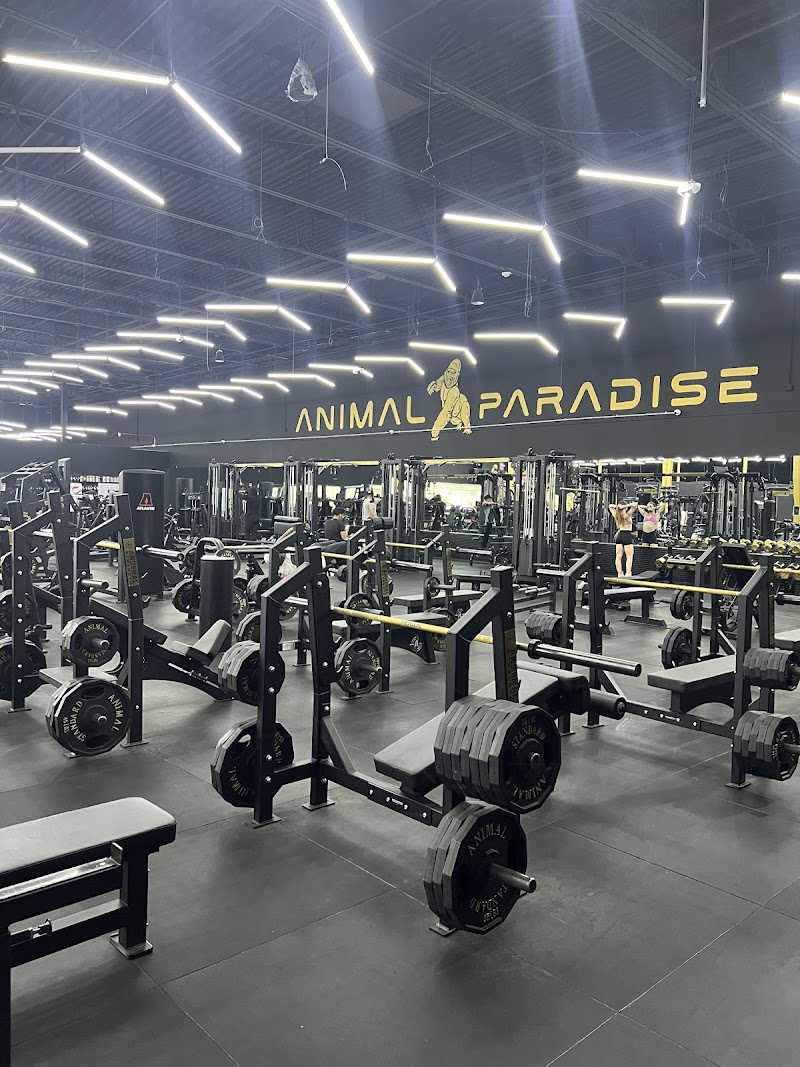 Animal Paradise Gyms | Modern Bodybuilding & Fitness Facility photo 2