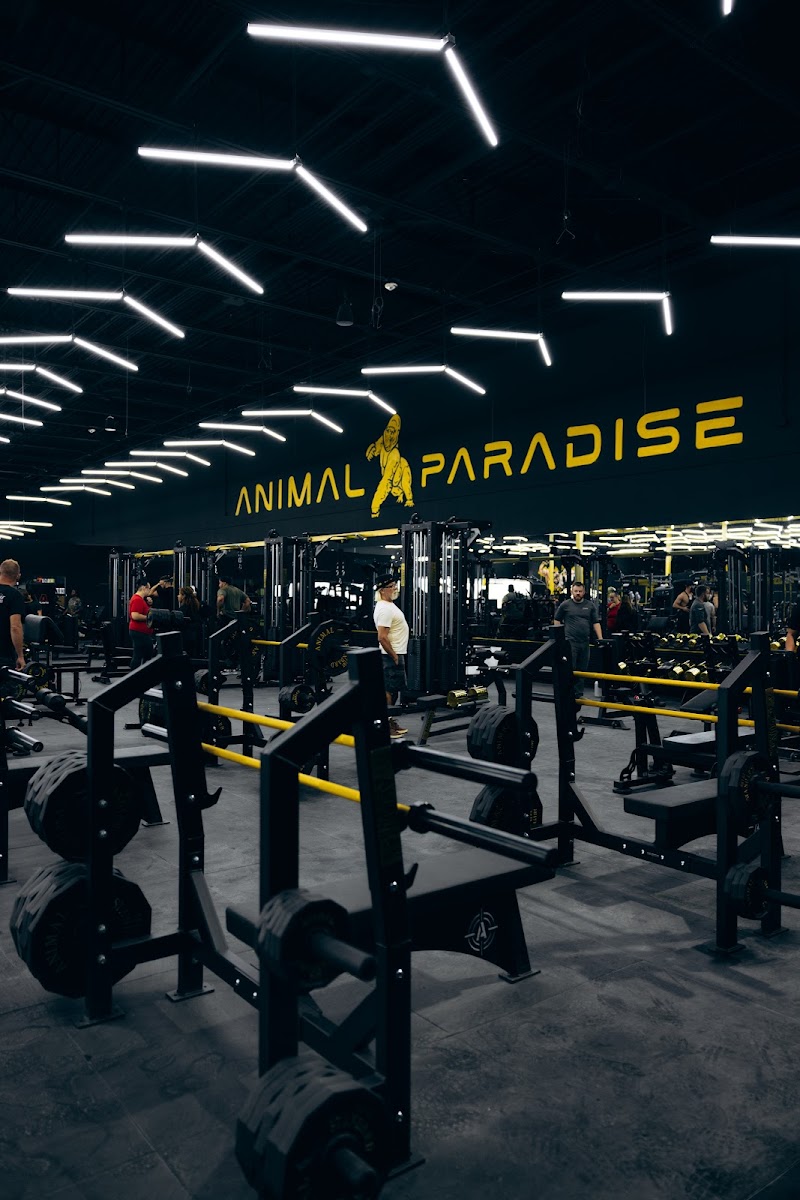 Animal Paradise Gyms | Modern Bodybuilding & Fitness Facility photo 1