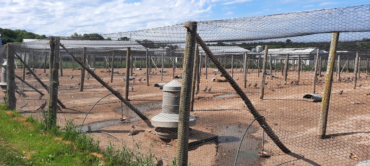 Lake Elaine Game Farm