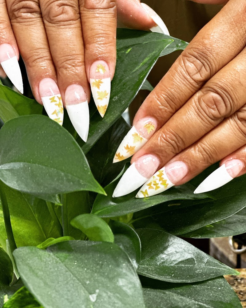 Bellissima Nail and Spa