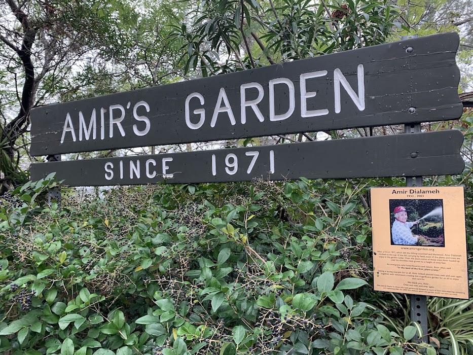 Amir's Garden fotoğraf 1